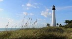 Cape Florida Lighthouse as seen from the Beach Path in Bill Baggs State Park, Key Biscayne, Florida LB160409-0668