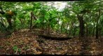 120217 - Costa Rica, Area de Conservacion (ACG), Rincon de la Vieja, 1,400 m 