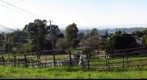 Castro Valley