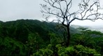 ridge hike