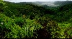 ridge hike
