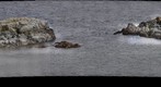 Neck Point