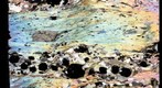 Gassetts Schist Thin Section 01