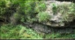 Rock Elm Fold Left