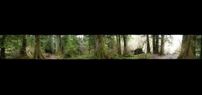 99604-400x189