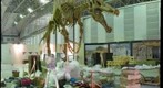 Reconstructed skeleton of Spinosaurus during installation, Dinosaur Expo 2009, Tokyo
