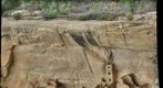 The Square Tower House, Mesa Verde National Park