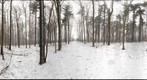 Dairy Bush GigaPan - 131 - February 29 2012