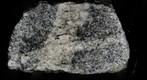 Granitic dikes in granite