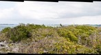 Long Rock at Warderick Wells in the Exumas