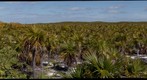 Cambridge Cay in the Exumas