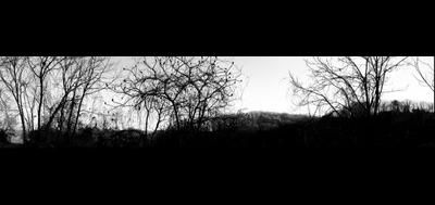 99750-400x189