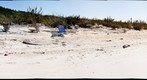 Gaulin Cay 2