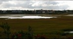 Nantucket Salt Marsh