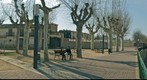 Vista de Tarazona Mudejar