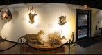 GMNH GALLERY PANORAMA
