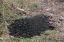 Asphalt
