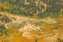 Alluvial Fan