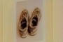 Saucony Running Shoes