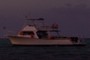Dive Boat