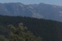 mount buffalo