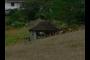 Hut