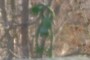 it ain't easy being Green