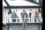 wooden sailors
