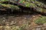 Great Smoky Thrust Fault