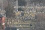 Cemetary