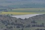 crops