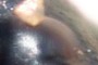 Do I have something in my eye?