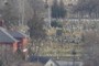 Cemetary