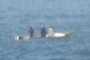 Fishing Boat