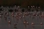 Flamencos