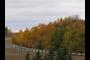 Fall