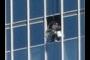Window Cleaner on Skyscraper