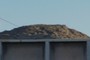Phosphate