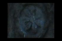 28429-210x140