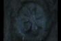 Stone flower