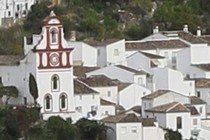 267319-210x140