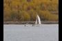 Little sail boat