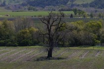 267881-210x140