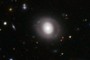 ringed