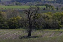 268301-210x140