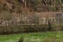 Zentral Club, a orillas del rio, protegido por el bosque de rivera