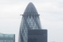 big gherkin?