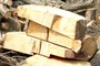 Stump Cuts