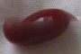 Split Bean