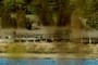 Boardwalk - Spermatceti Cove